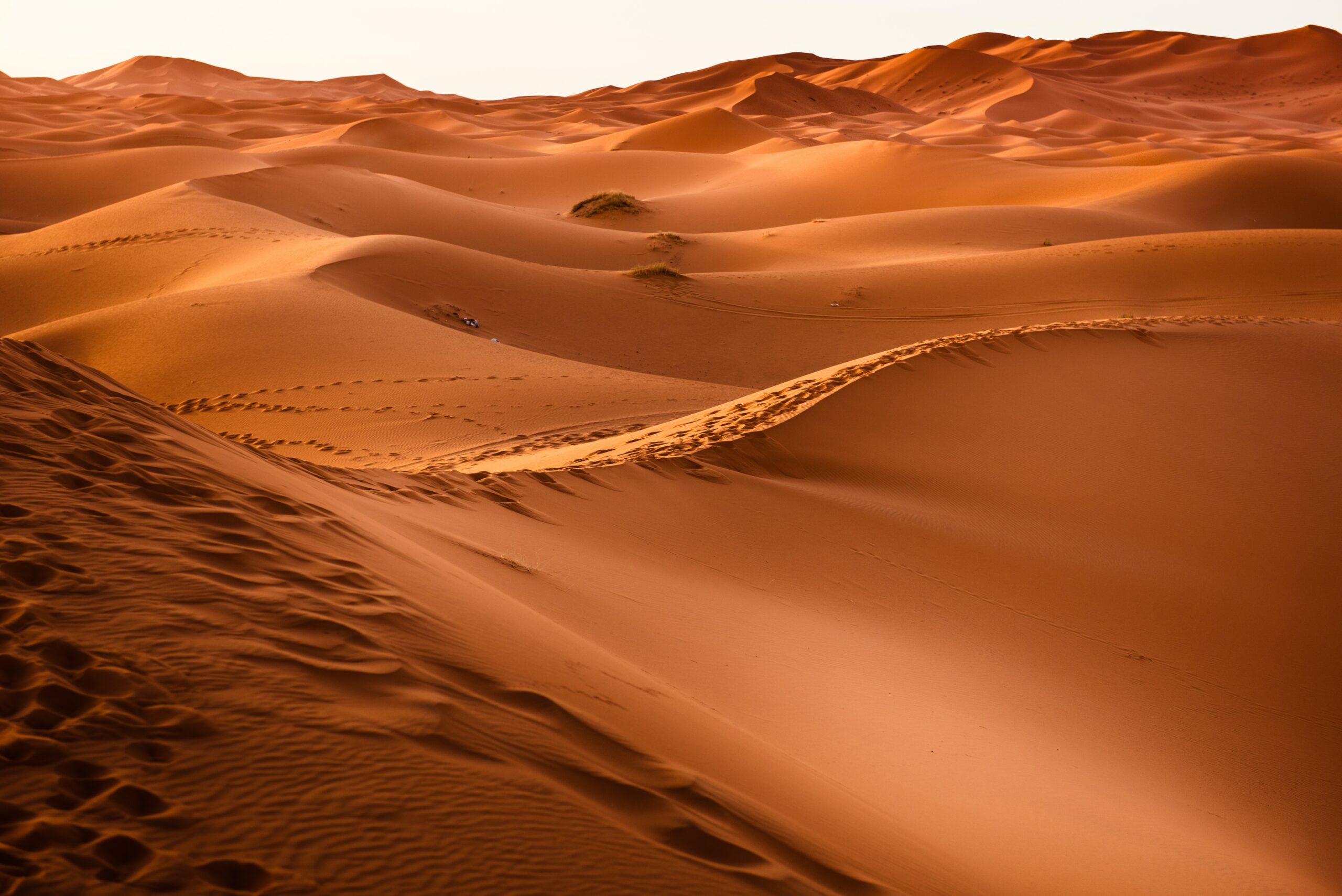 morocco desert